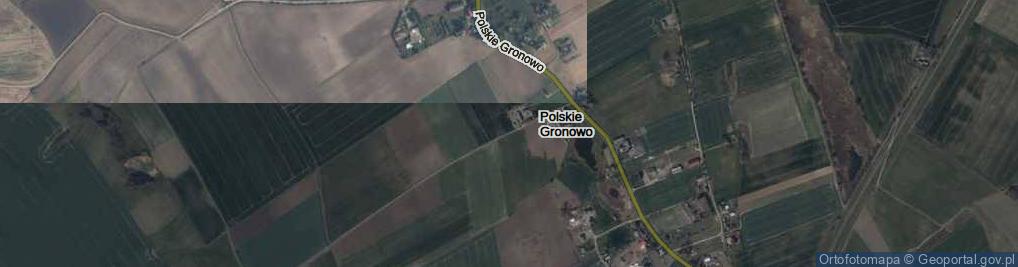 Zdjęcie satelitarne Polskie Gronowo ul.
